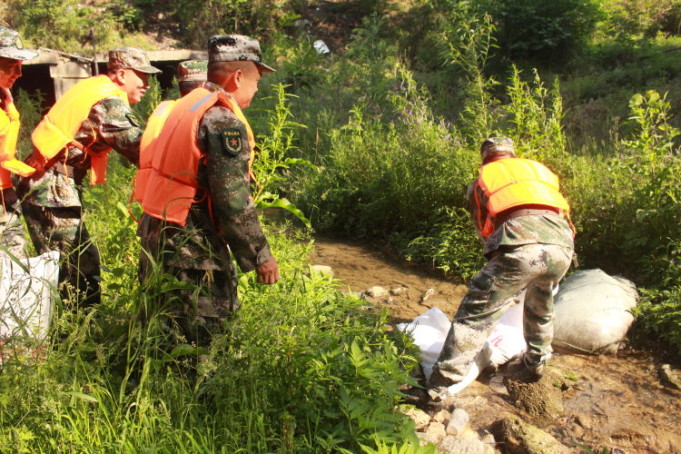 简篇-舞钢市杨庄乡：以练备战 积极开展防汛应急演练