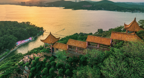 bdedab726ba405f9a60b99c12f9e28d.png bdedab726ba405f9a60b99c12f9e28d.png