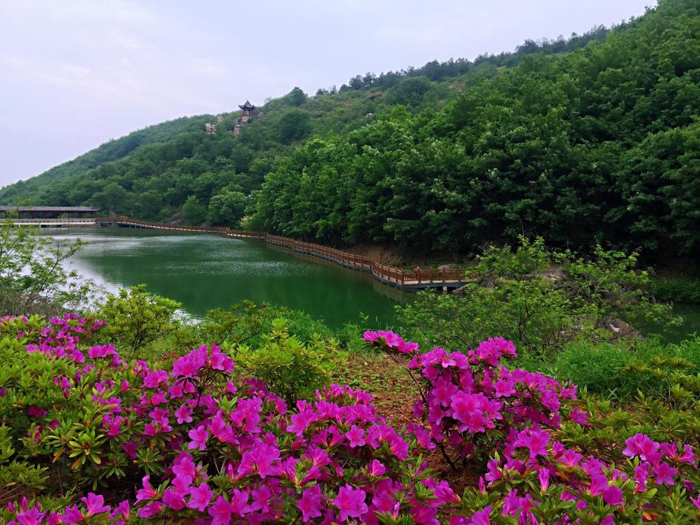 6ba91bb0cc93b5ac34cea0f5c3141dd