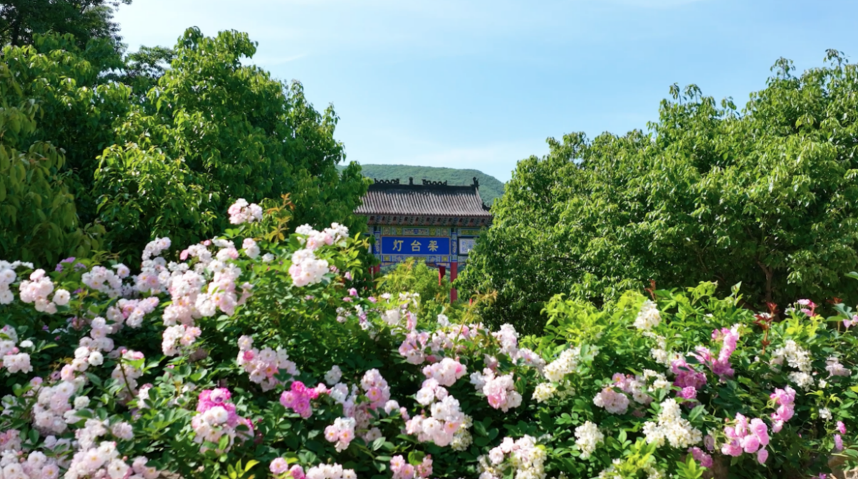 b3f647acf43452945940978f14d3d2f